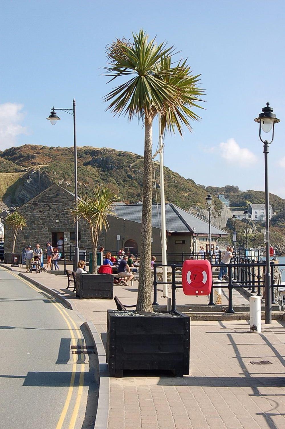 Beach Vista Apartment Three In Barmouth Esterno foto